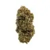 Medical Grape CBD DRY IND fleur de CBD Medical Grape aux arômes de raisin et crème, buds denses de Medical Grape CBD à 20 % de CBD, fleur de CBD premium Medical Grape cultivée en indoor